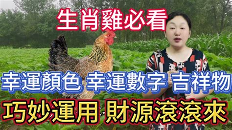 屬雞幸運數字|屬雞的人幸運數字